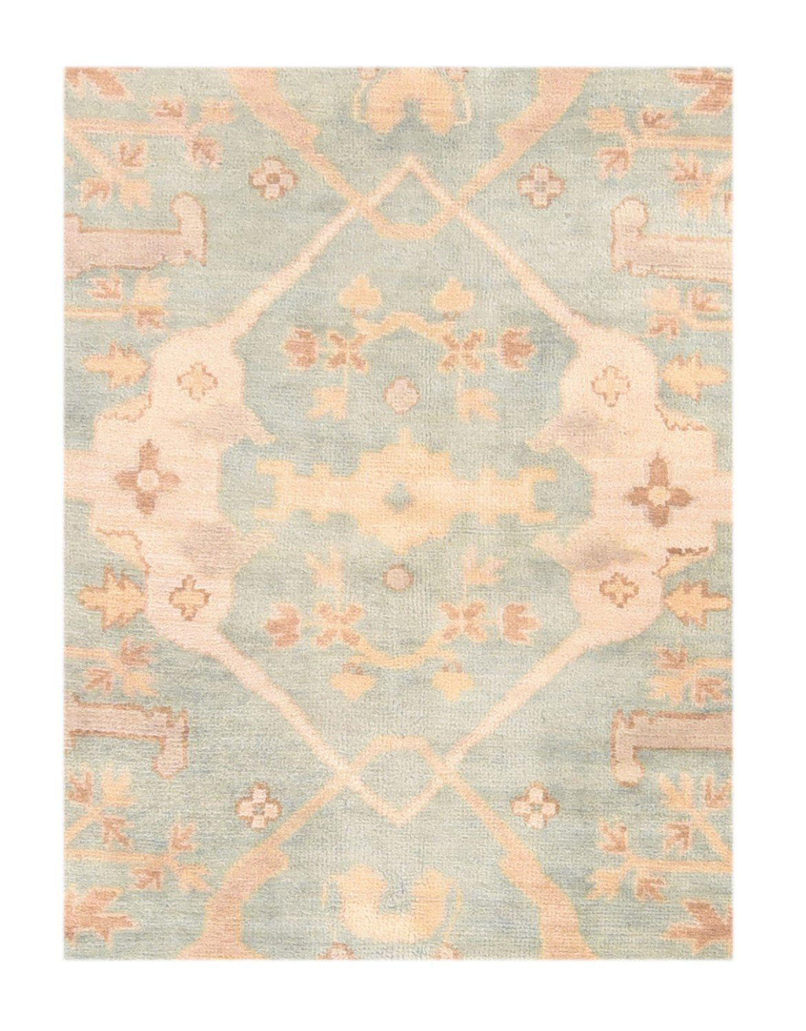 Area Rug 3002