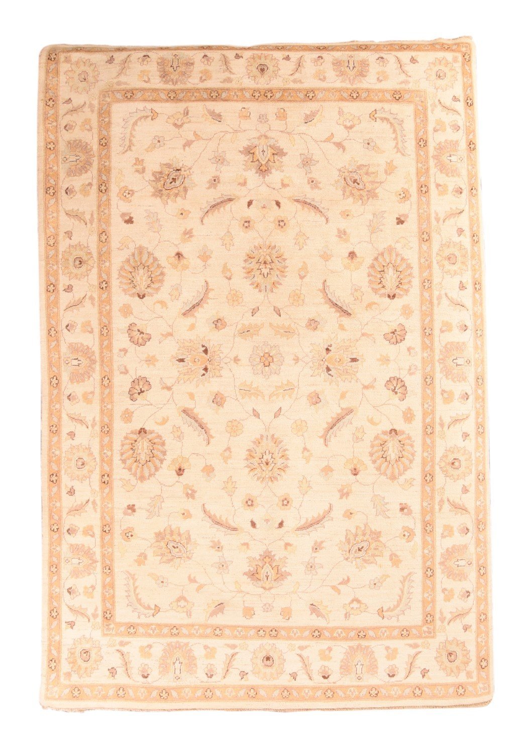 Area Rug 3003