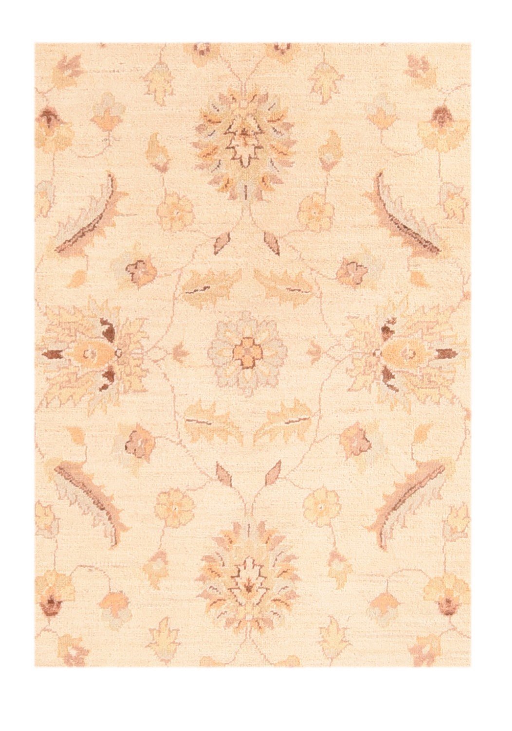 Area Rug 3003