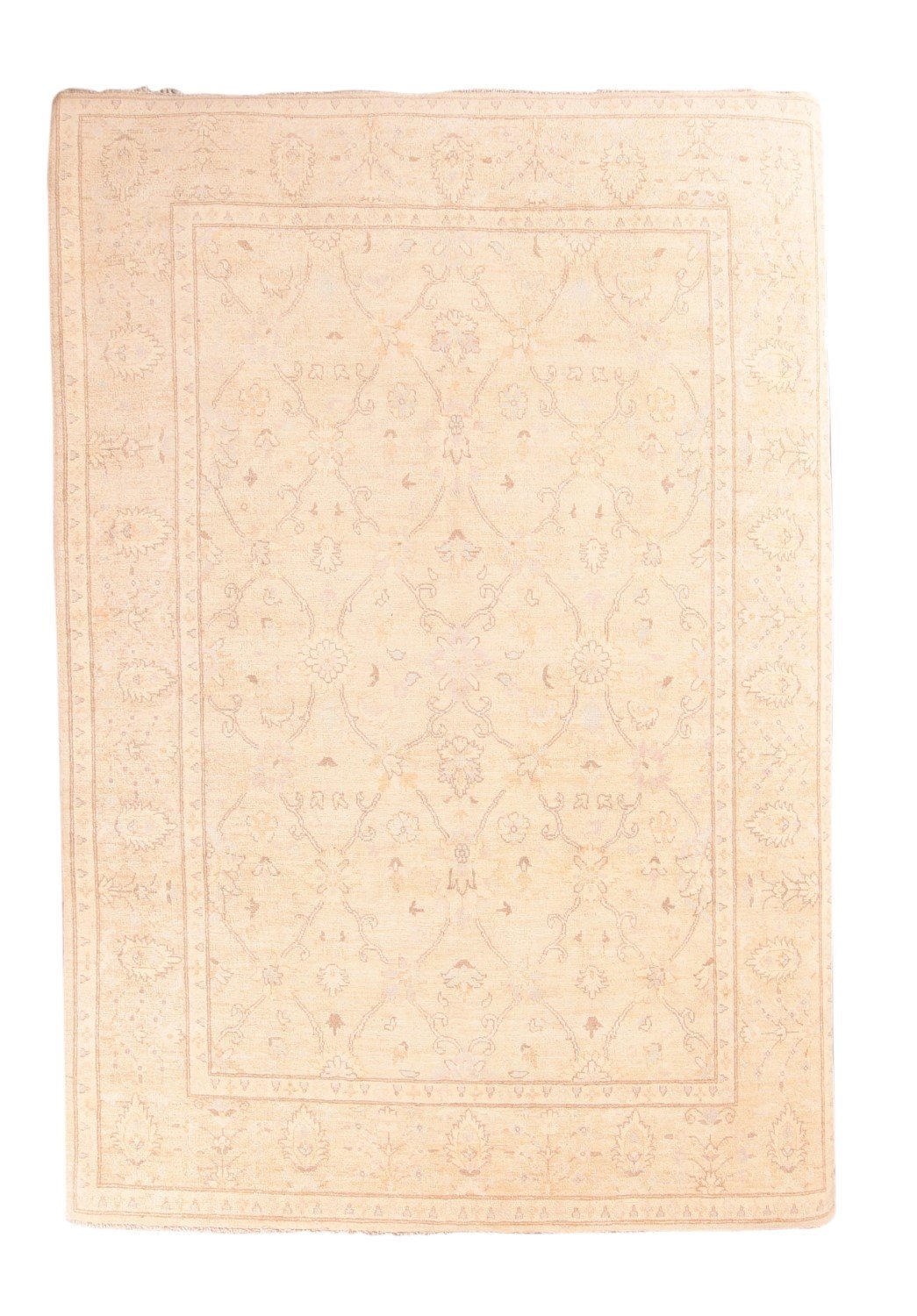 Area Rug 3004