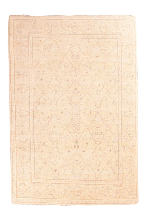 Area Rug 3004