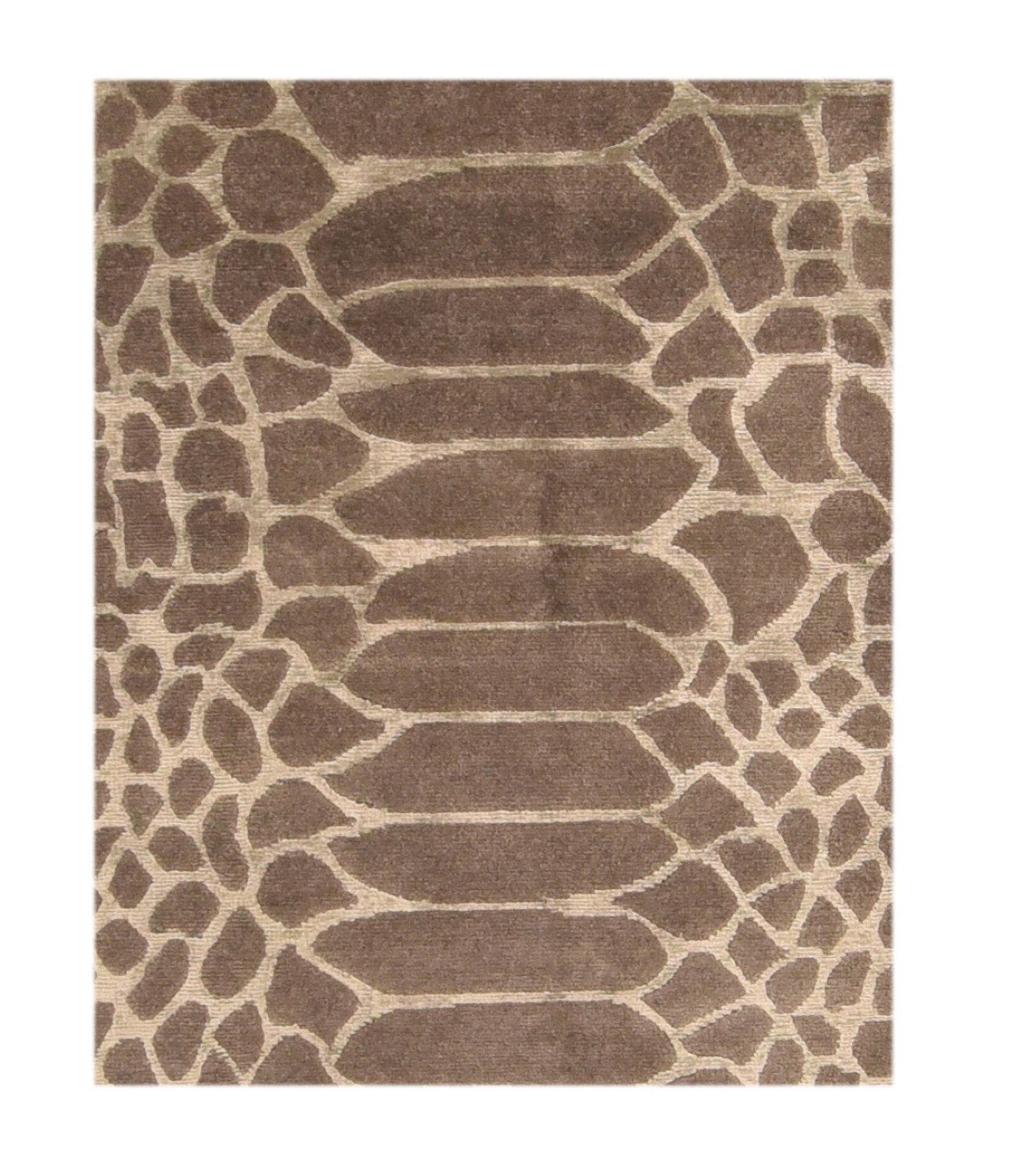 Area Rug 3009