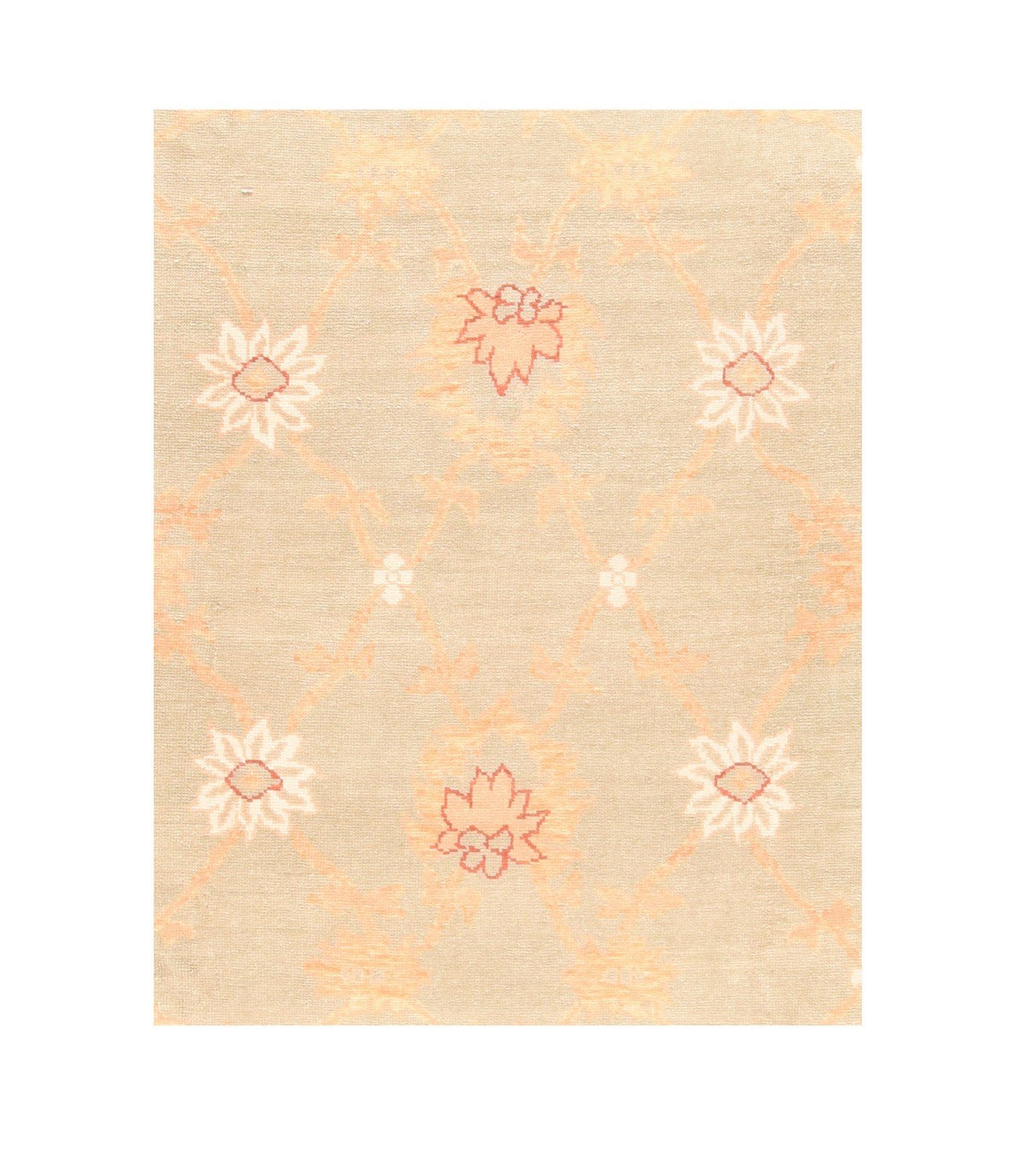 Area Rug 3054