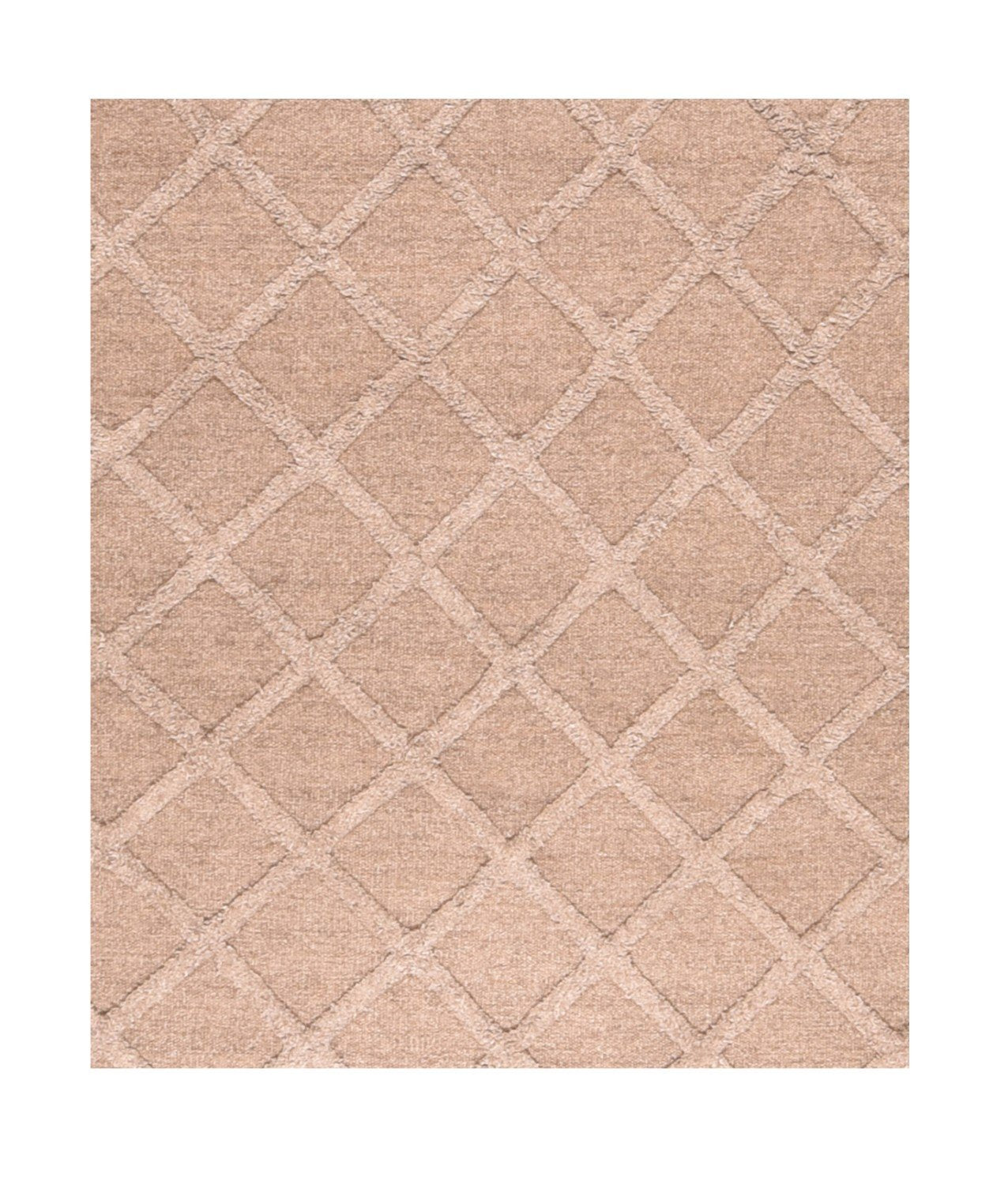Area Rug 3106