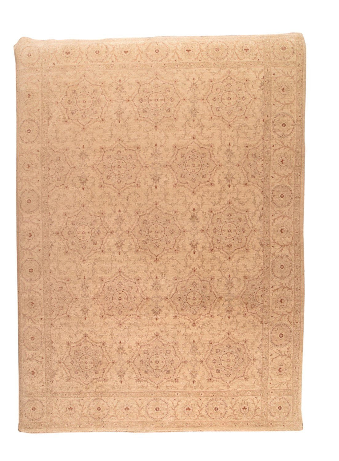 Area Rug 3160