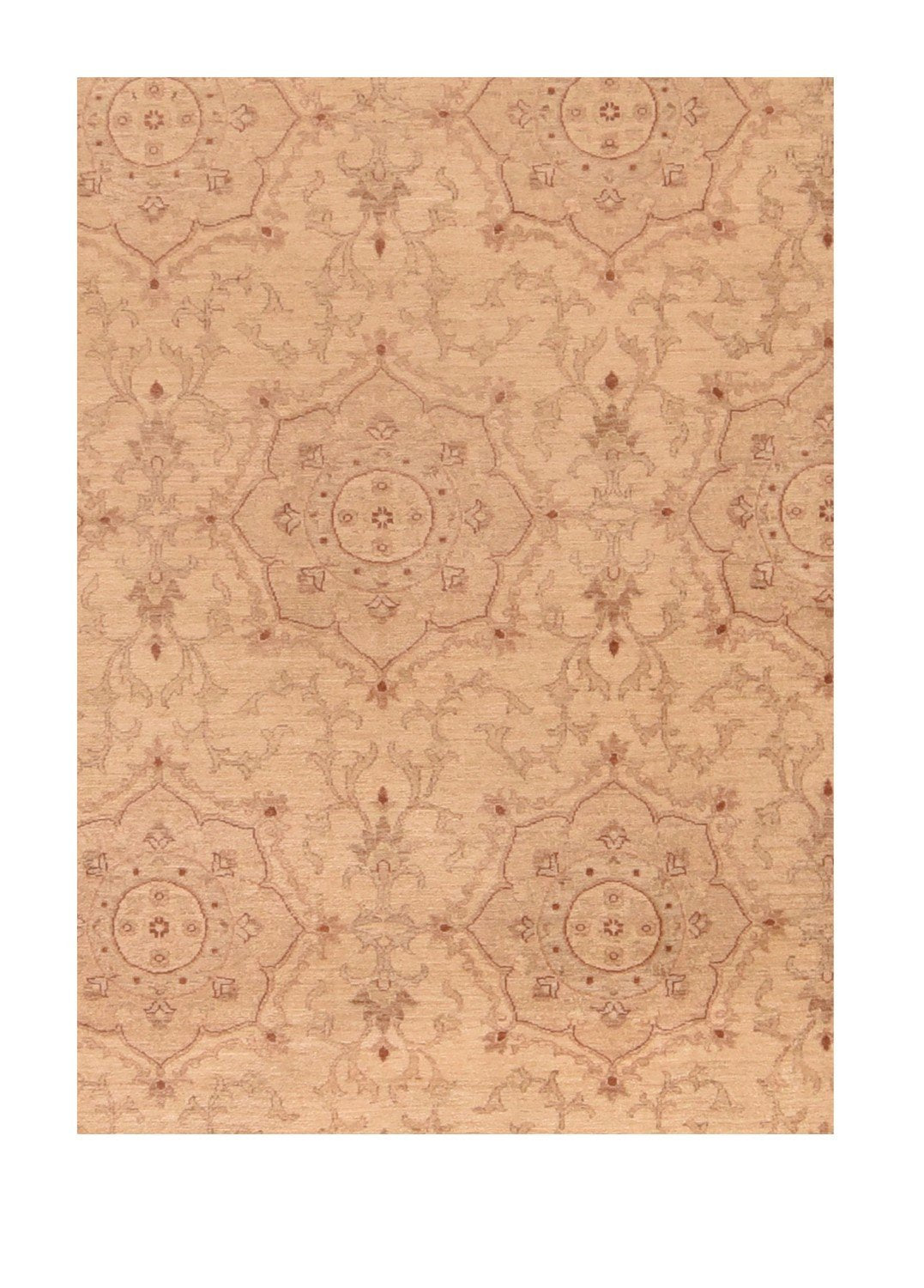 Area Rug 3160