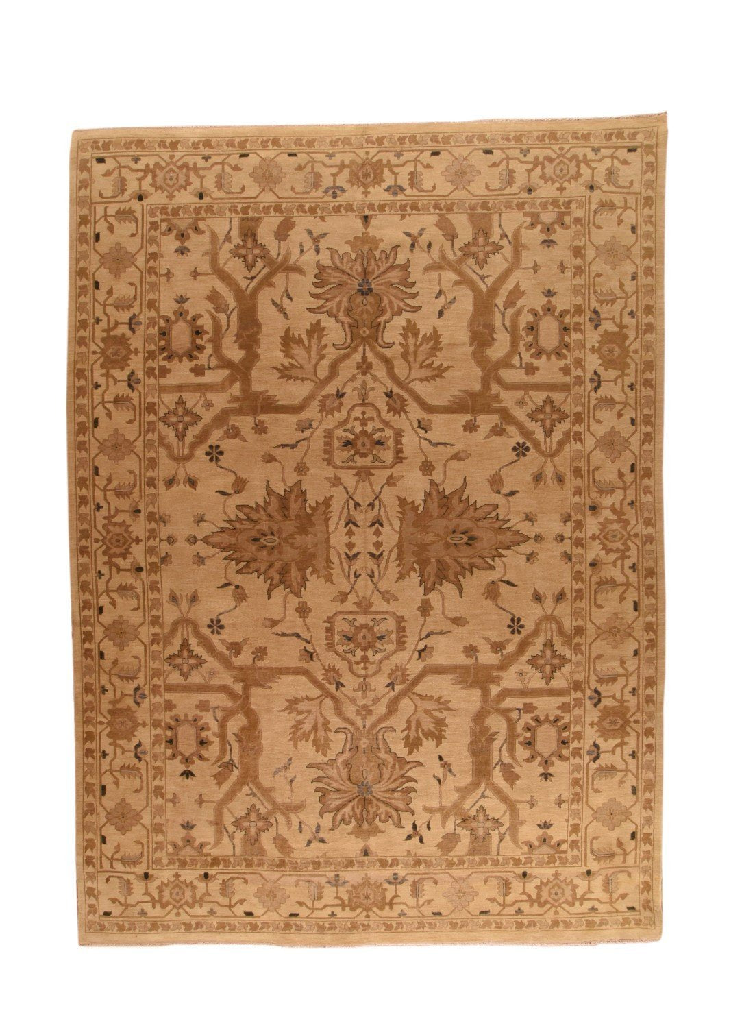 Area Rug 3174