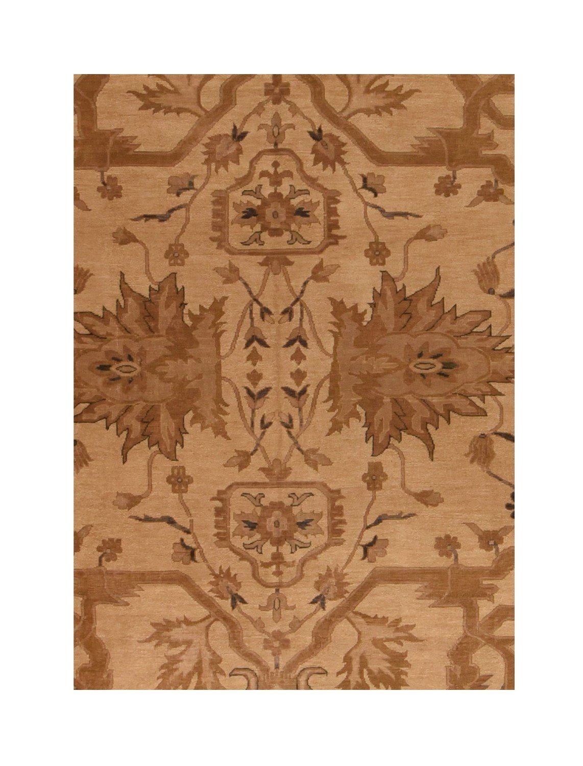 Area Rug 3174