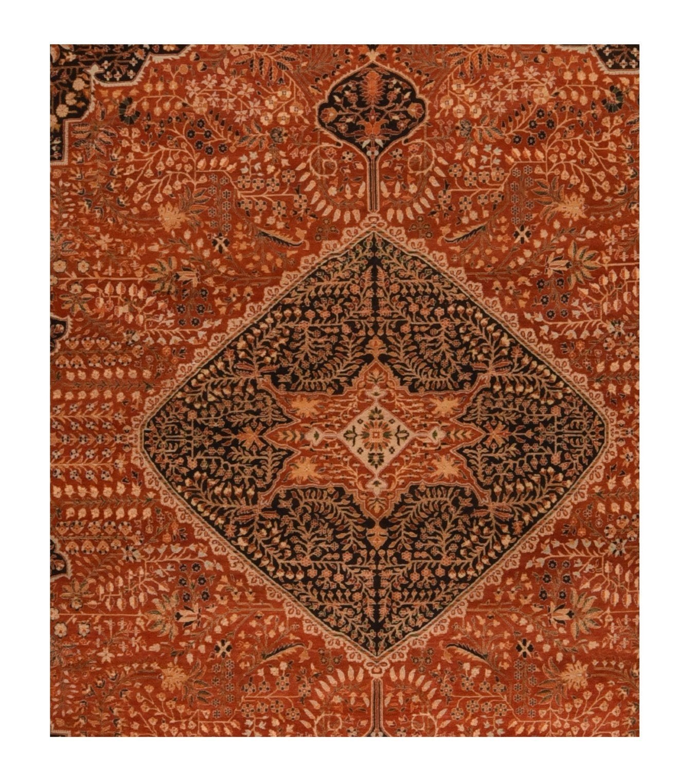 Area Rug 3208