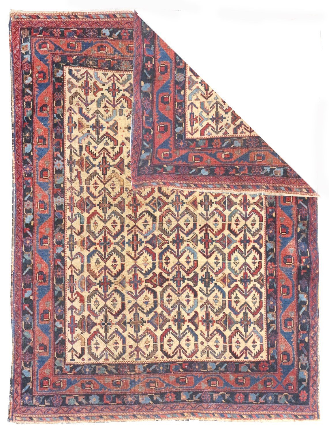 Area Rug 4009