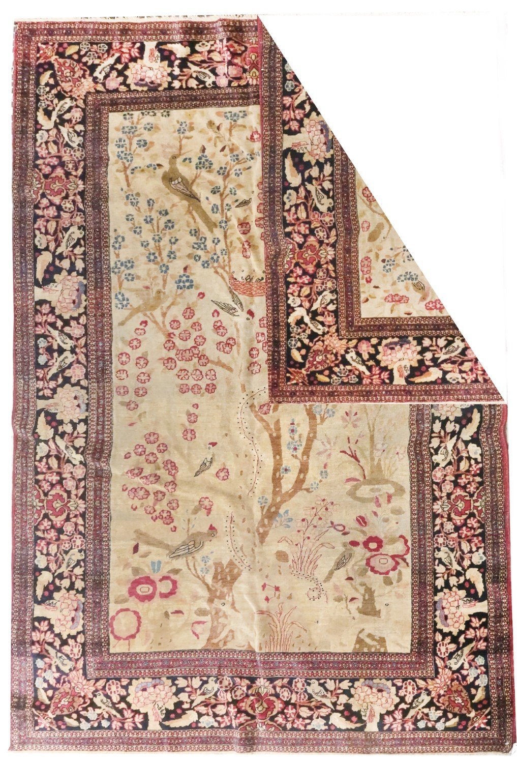 Area Rug 4026