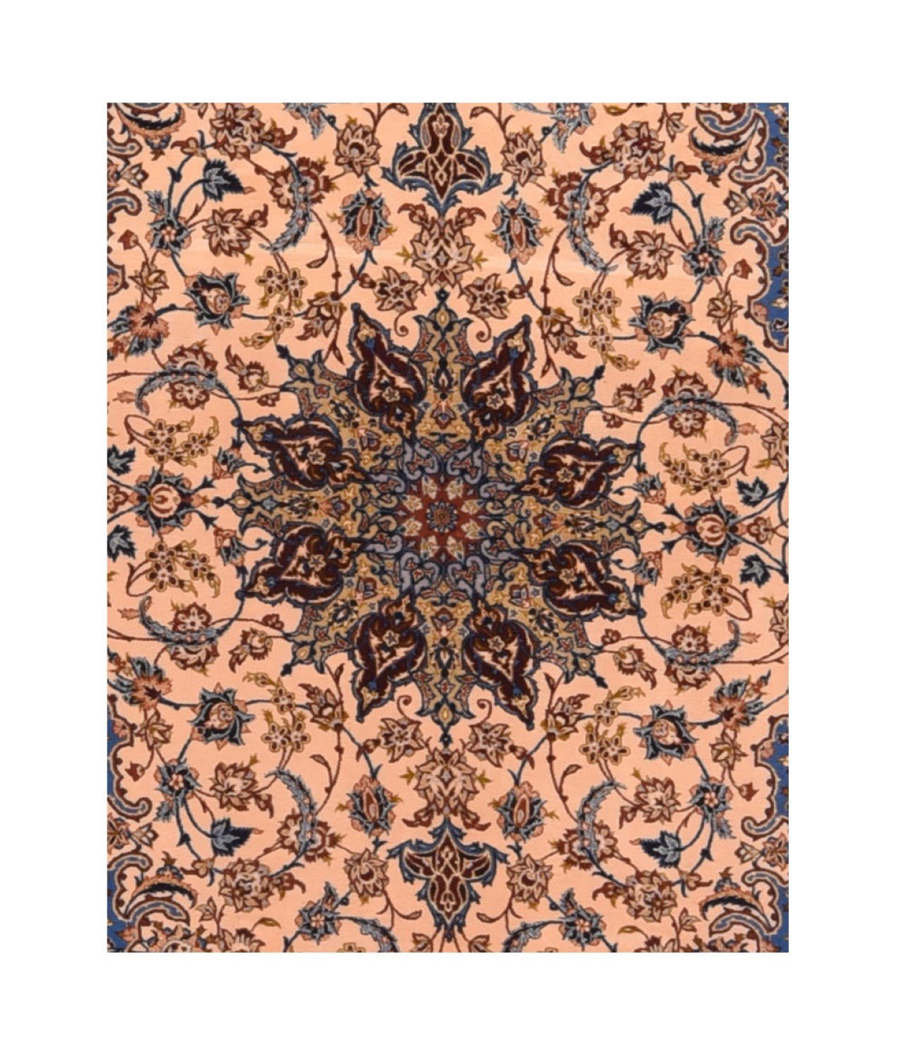 Area Rug 709