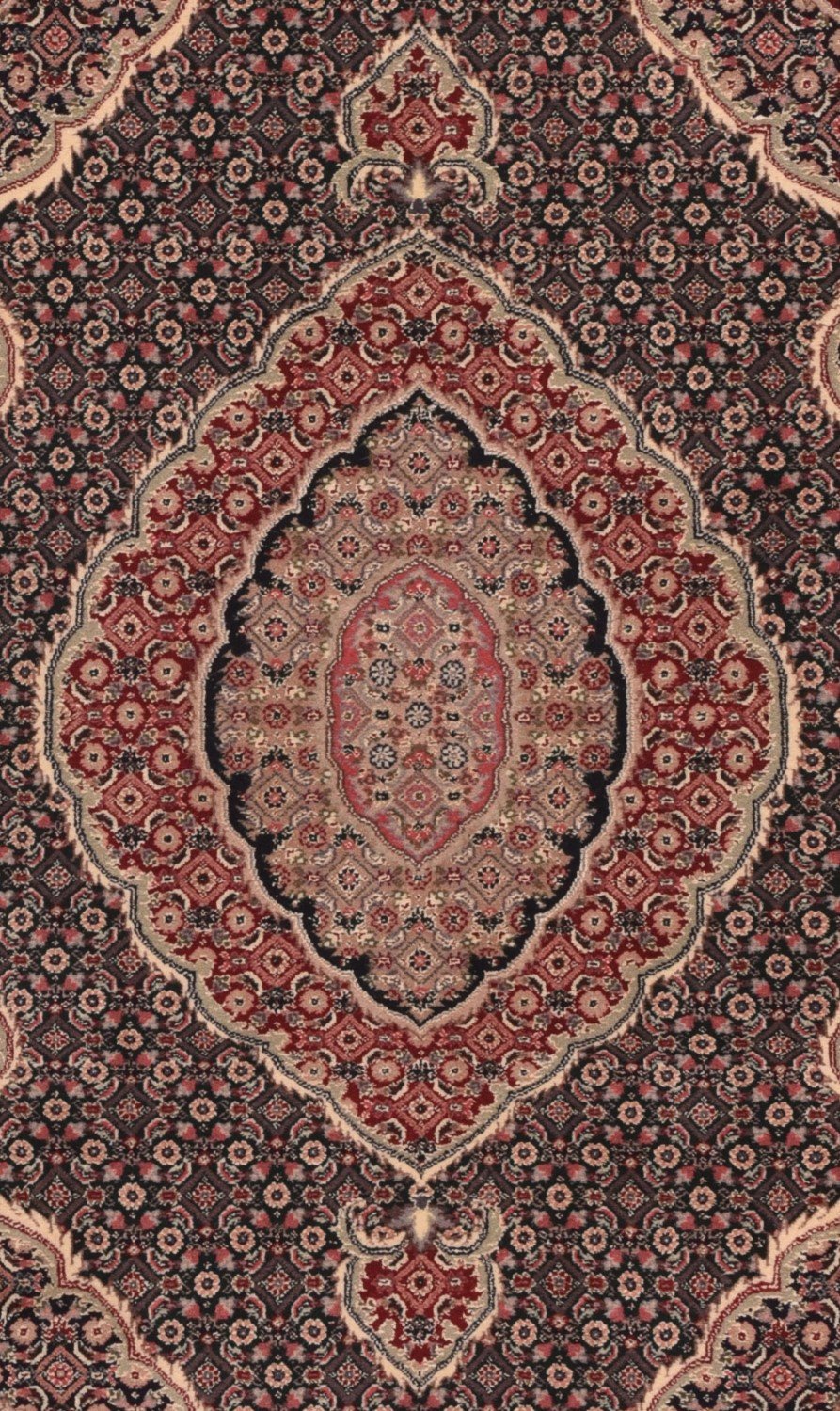Area Rug 767