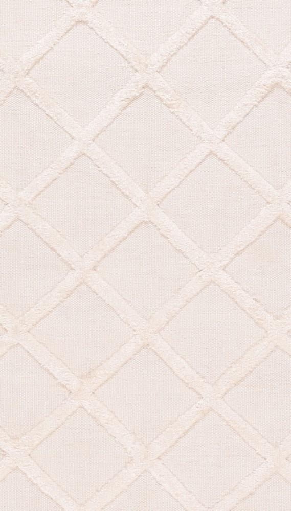 Indo Indian Rug