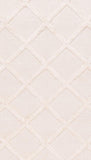 Indo Indian Rug