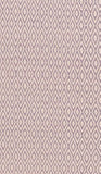 Indo Indian Rug